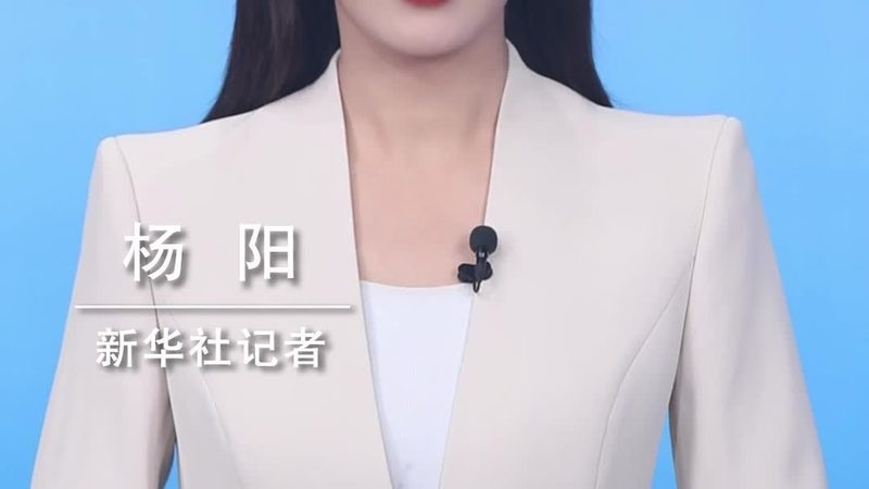 云原生容器编排平台的性能基准与选型逻辑